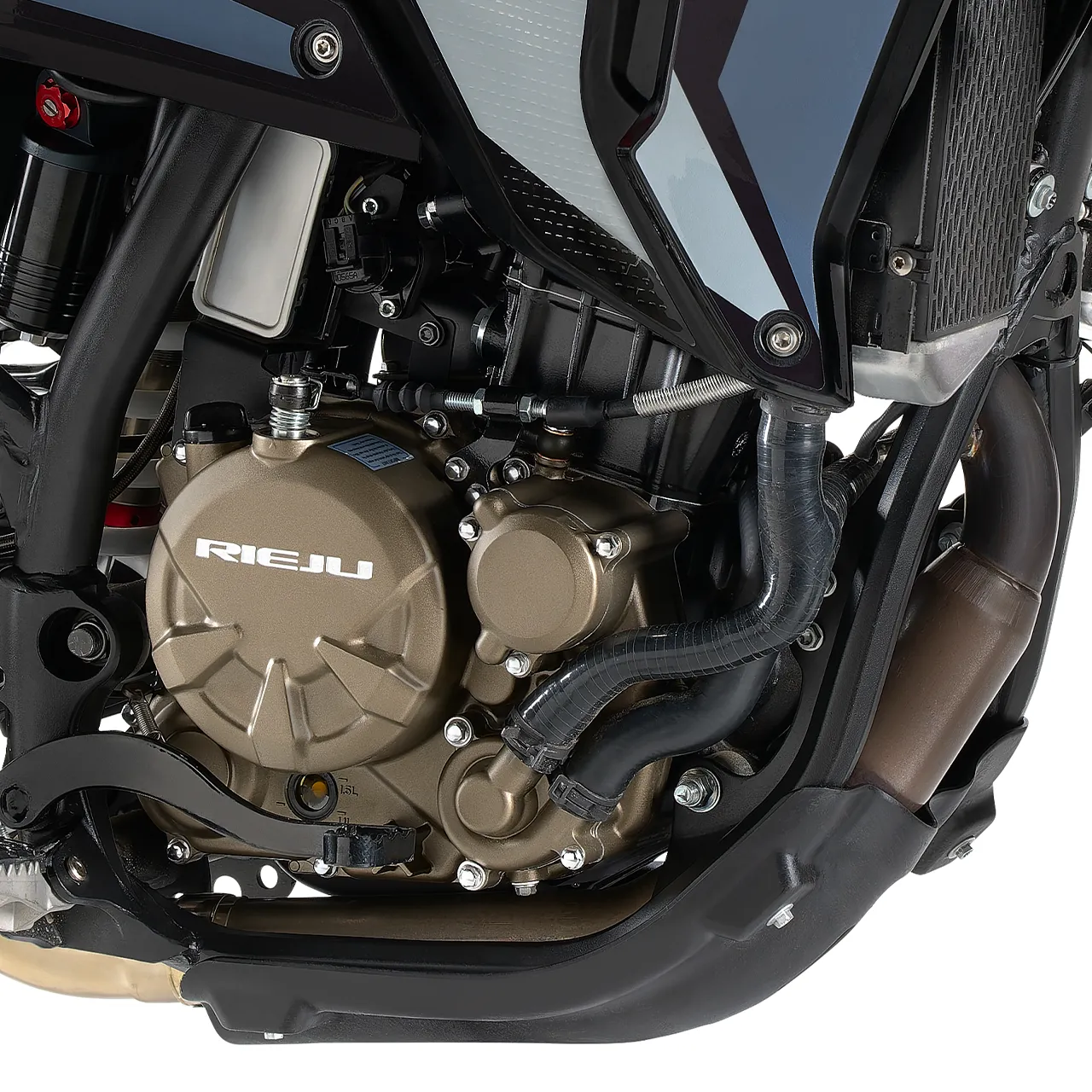 Rieju Aventura Rally 307 Motor