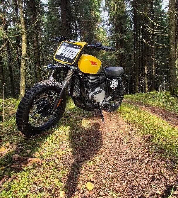218 kilo BSA retro möter gotländsk lera