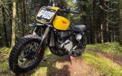 218 kilo BSA retro möter gotländsk lera